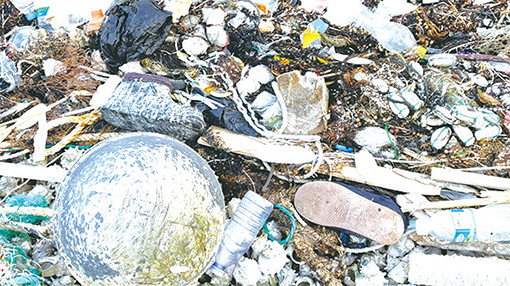 ▲ 옹포항 근처에 쌓인 해양 쓰레기. 플라스틱 페트병과 신발, 어업 폐기물 등 다양한 쓰레기가 한데 얽혀 있었다.