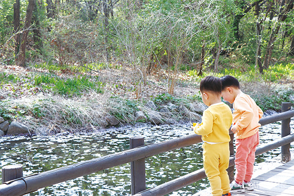 ➎ 서울숲 ‘소원의 연못’에 떨어진 꽃잎을 구경하는 아이들
