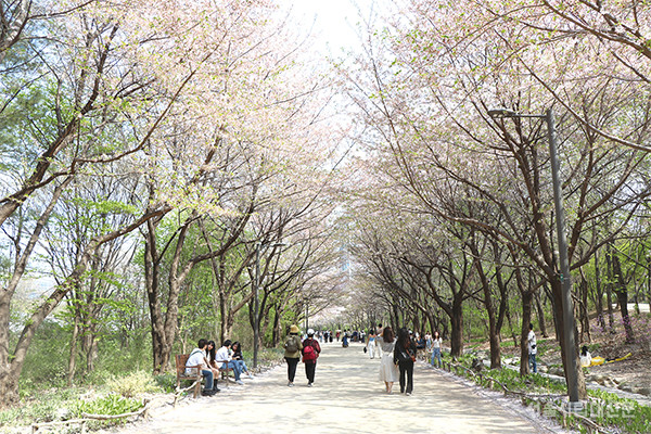 ➏ 서울숲에서 저마다 꽃놀이를 즐기는 사람들